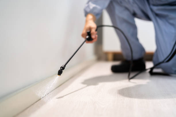 Licensed Pest Control service in Eufaula, OK - Show Me Pest Control