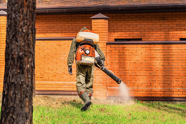 Top rated local Wasp Removal specialists in Eufaula, OK